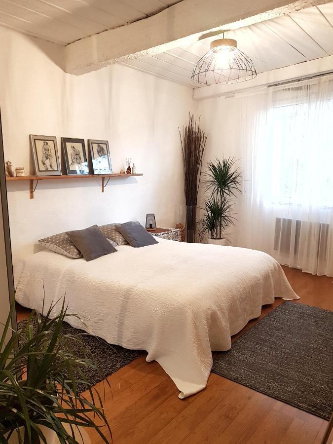 Chambre D Hotes "Lilimyna" Avec Petit Dejeuner 巴尔若尔 外观 照片